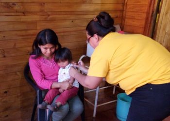 Más de 53 mil prestaciones efectuaron los equipos de Salud Indígena de Salud Pública en 2022