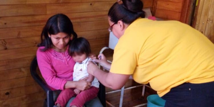 Más de 53 mil prestaciones efectuaron los equipos de Salud Indígena de Salud Pública en 2022