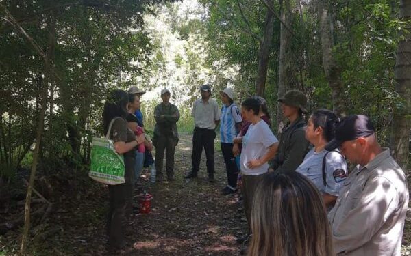 Con distintas actividades celebraron el Día de la Educación Ambiental en la Reserva Yate-í de Andresito