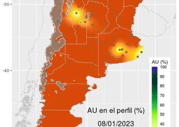 Según la CCA las ventas de vehículos usados cayeron en 2022 en 21 provincias incluyendo Misiones