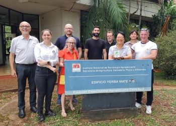 Oportunidades internacionales para el té misionero