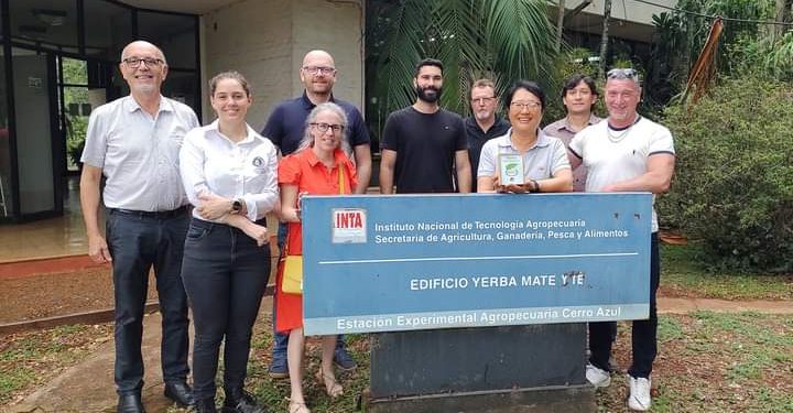 Oportunidades internacionales para el té misionero