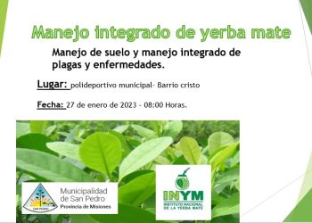 Capacitarán a productores yerbateros en San Pedro