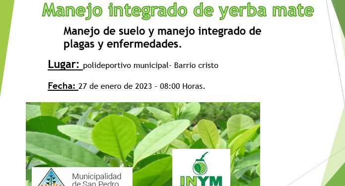 Capacitarán a productores yerbateros en San Pedro