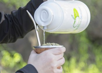 Yerba mate: en 2022 el consumo interno y las exportaciones superaron los 316 millones de kilos