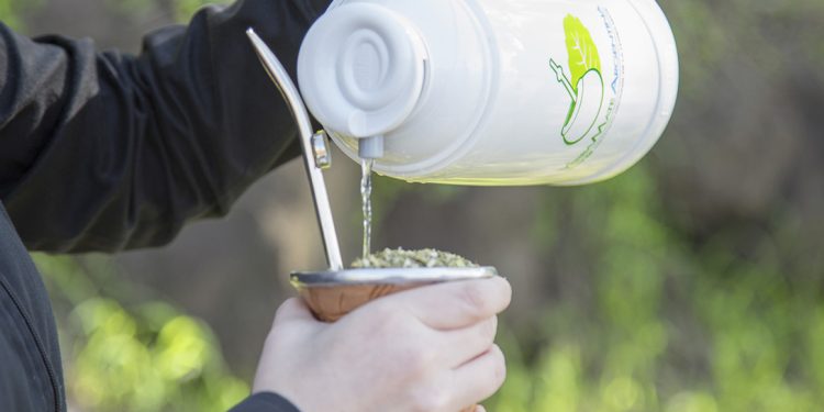 Yerba mate: en 2022 el consumo interno y las exportaciones superaron los 316 millones de kilos