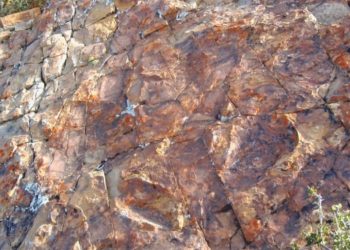 Descubrieron en Argentina las primeras huellas de dinosaurios “patinadas” de la historia