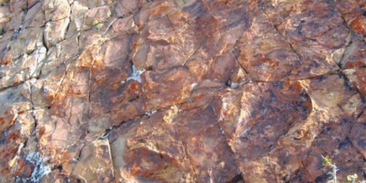 Descubrieron en Argentina las primeras huellas de dinosaurios “patinadas” de la historia