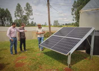 Fortalecen el desarrollo de pequeños productores con energías renovables
