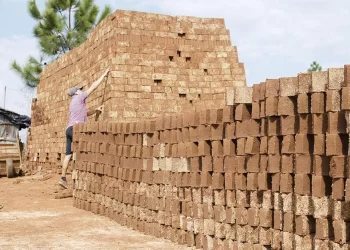 Campo Viera: el Ifai potencia el trabajo realizado por los oleros