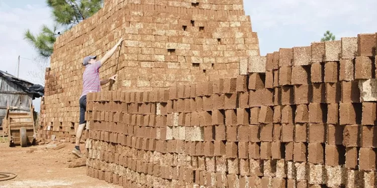 Campo Viera: el Ifai potencia el trabajo realizado por los oleros