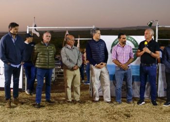 San José: con más de 120 cabezas en pista se realizó el primer remate nocturno del año de animales menores