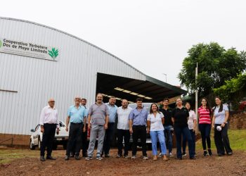 Nuevas inversiones con apoyo del estado provincial para exportar té verde