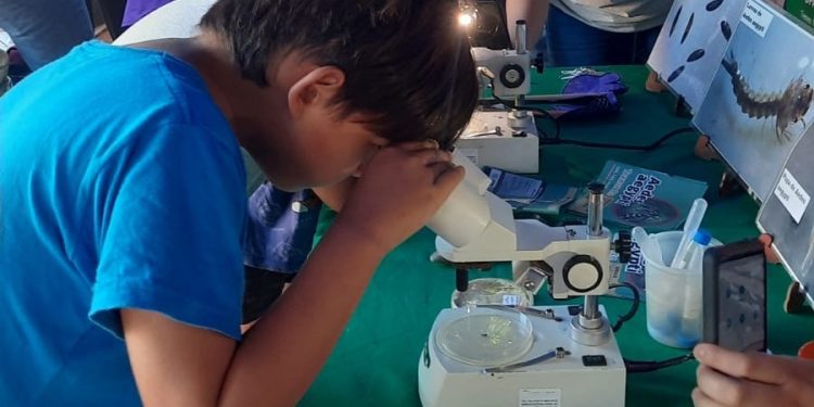 Posadas: la Muni en tu barrio concretó nuevo operativo integral de atención comunitaria