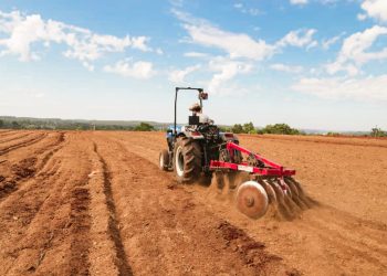 Eldorado fortalece el crecimiento de los productores locales