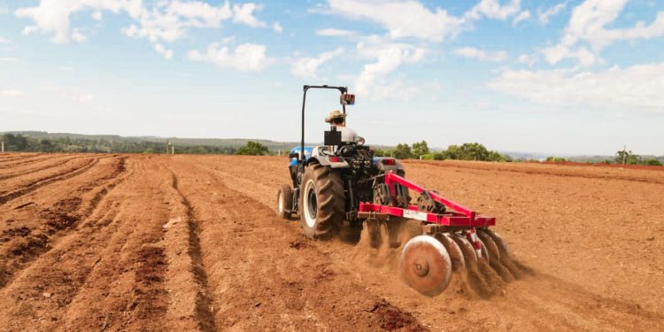 Eldorado fortalece el crecimiento de los productores locales