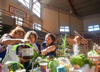 Agricultura Familiar se prepara para el encuentro por el Día de la Mujer Trabajadora