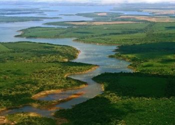Día Mundial de los Humedales: por qué se conmemora cada 2 de febrero