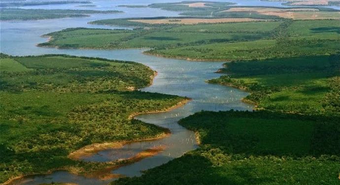 Día Mundial de los Humedales: por qué se conmemora cada 2 de febrero