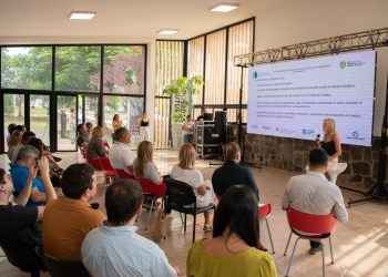 Posadas se afianza con el uso de la energía solar
