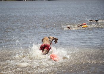 Posadas: más de un centenar de inscriptos en la Escuela Municipal de Guardavidas