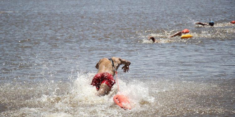 Posadas: más de un centenar de inscriptos en la Escuela Municipal de Guardavidas