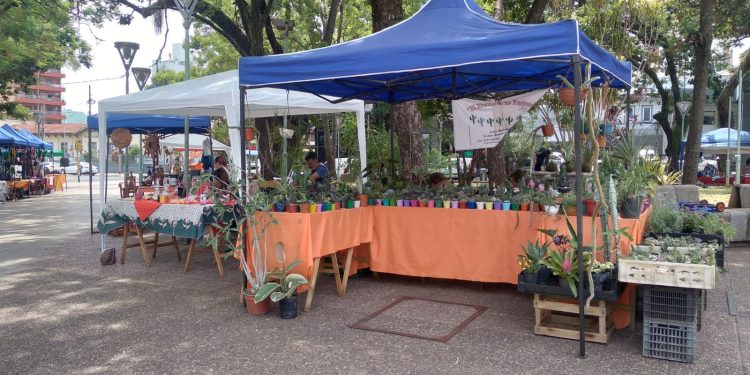 Paseo Comercial “Posadas Siempre Linda”, una oportunidad para el crecimiento de la producción local