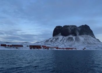 Día de la Antártida Argentina: por qué se conmemora cada 22 de febrero