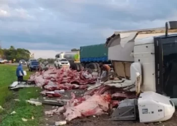 Salta: un camión frigorífico volcó y se robaron 11.000 kilos de carne