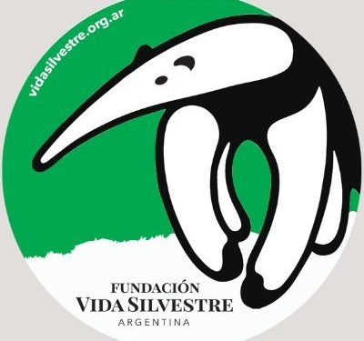 Yaguá la Caza: una iniciativa para desalentar la caza furtiva en Misiones