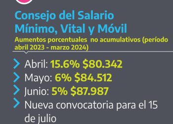 Vergonzoso: el salario mínimo no cubre ni la mitad de la canasta básica