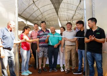 Impulso a la horticultura comercial en Gobernador Roca