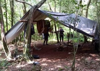 Cazadores sorprendidos en Urugua-í abandonan sus armas y perros