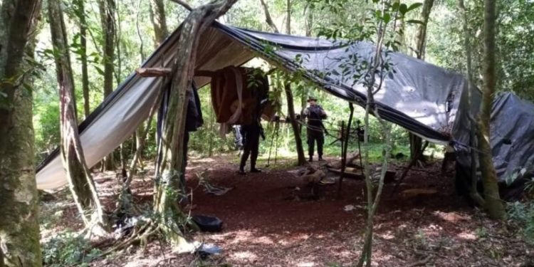 Cazadores sorprendidos en Urugua-í abandonan sus armas y perros