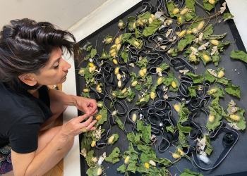 Posadas: el Centro de Arte homenajea a la mujer trabajadora