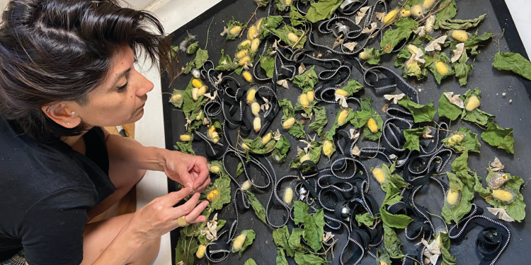 Posadas: el Centro de Arte homenajea a la mujer trabajadora