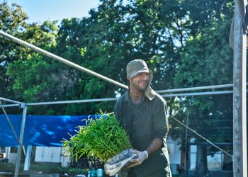 De Misiones a Córdoba para la reforestación de zonas afectadas por incendios