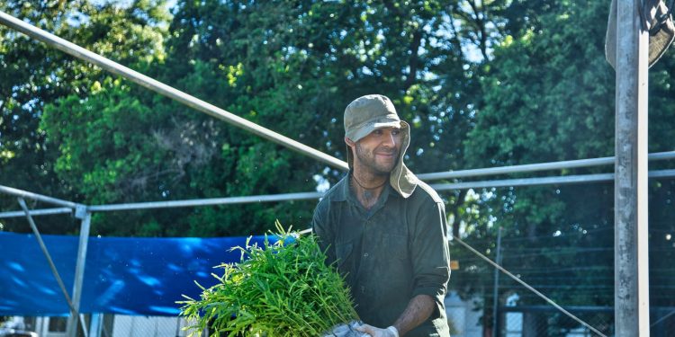 De Misiones a Córdoba para la reforestación de zonas afectadas por incendios