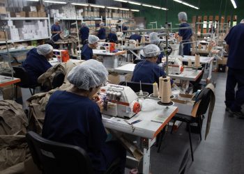 Inserción laboral, cada vez más jóvenes obtienen su primer trabajo mediante la Oficina de Empleo