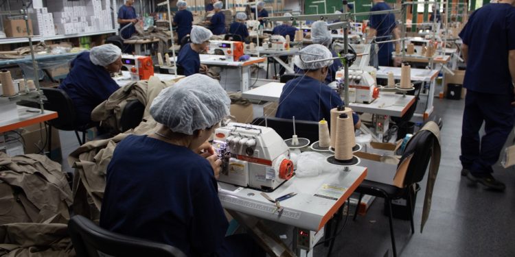 Inserción laboral, cada vez más jóvenes obtienen su primer trabajo mediante la Oficina de Empleo