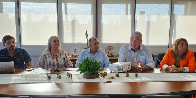 Nuevo postítulo docente en Gestión del Aprendizaje en Tiempos de la Inteligencia Artificial