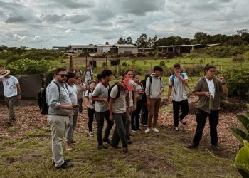 Cuidado ambiental, escuelas posadeñas asumen el compromiso