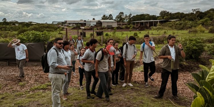 Cuidado ambiental, escuelas posadeñas asumen el compromiso