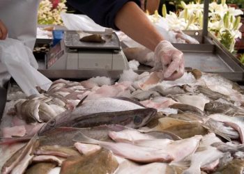 Recomendaciones para la adquisición y consumo de pescados en Semana Santa