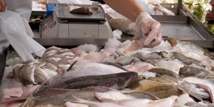 Recomendaciones para la adquisición y consumo de pescados en Semana Santa