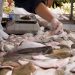 Recomendaciones para la adquisición y consumo de pescados en Semana Santa