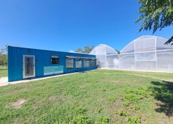 Biofábrica Misiones desarrolla biotecnología para el Phytolab de Buenos Aires