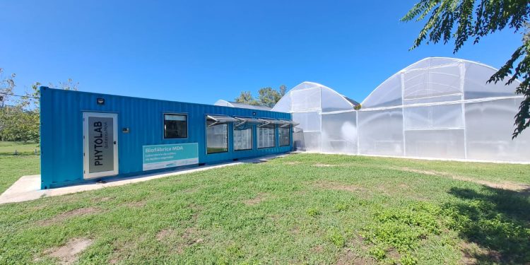 Biofábrica Misiones desarrolla biotecnología para el Phytolab de Buenos Aires