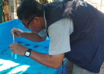 Posadas: se recomienda extremar los cuidados para prevenir el dengue y el chikungunya