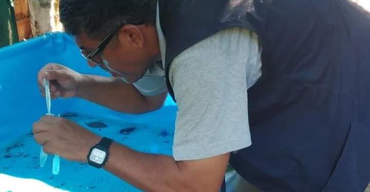 Posadas: se recomienda extremar los cuidados para prevenir el dengue y el chikungunya